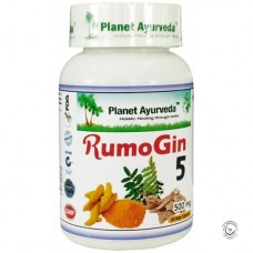 Planet Ayurveda-Rumo Gin